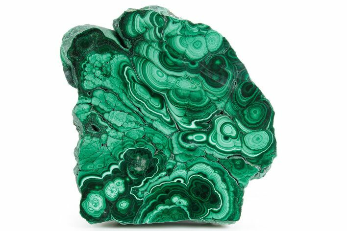 Flowery Polished Malachite Slab - DR Congo #360767